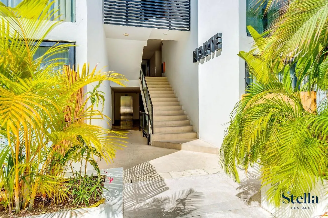פלאייה דל כרמן A-Nah Apartments, Rooftop Pool, Walking Distance To 5Th Avenue דירה פלאייה דל כרמן